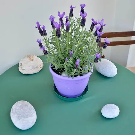 Agapi Mou Apartment, Kanoni Corfu